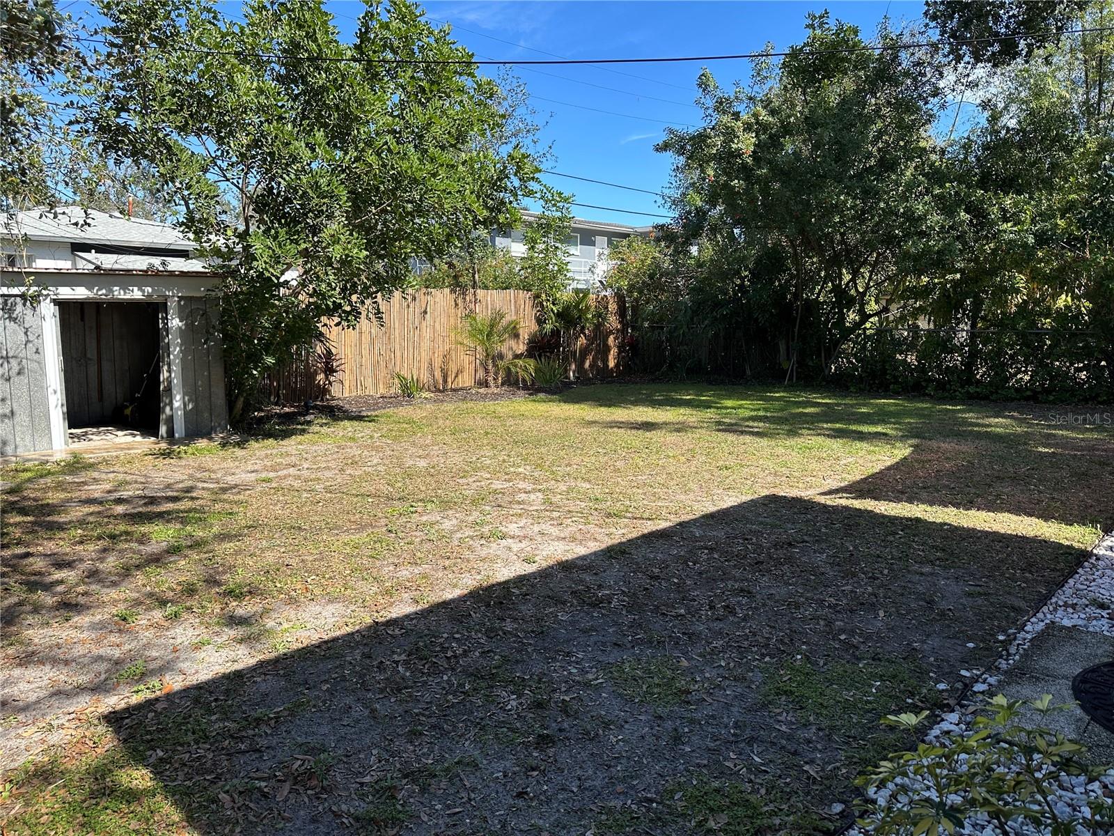 Large backyard view