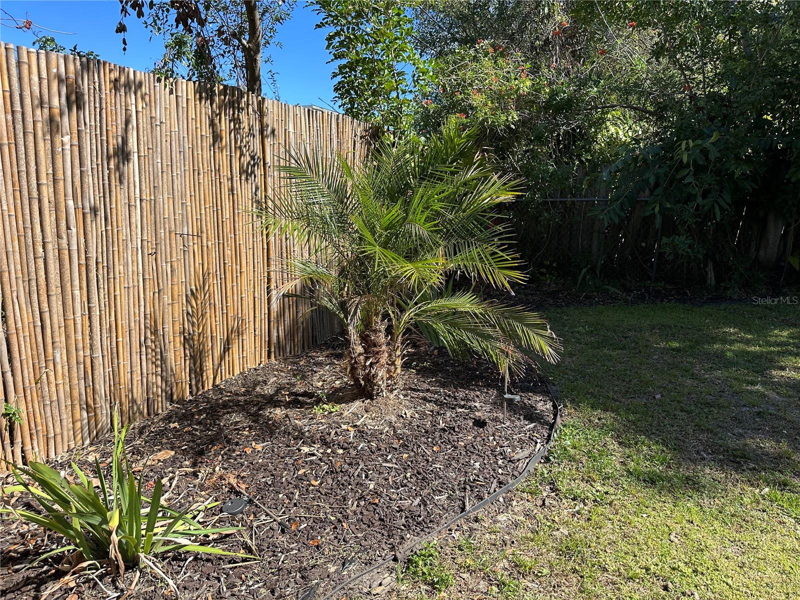 Landscaping along bamboo fence