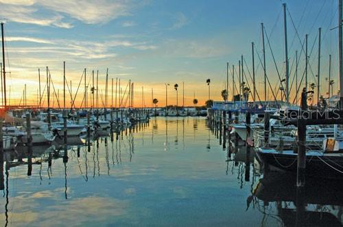 Dunedin Public Marina