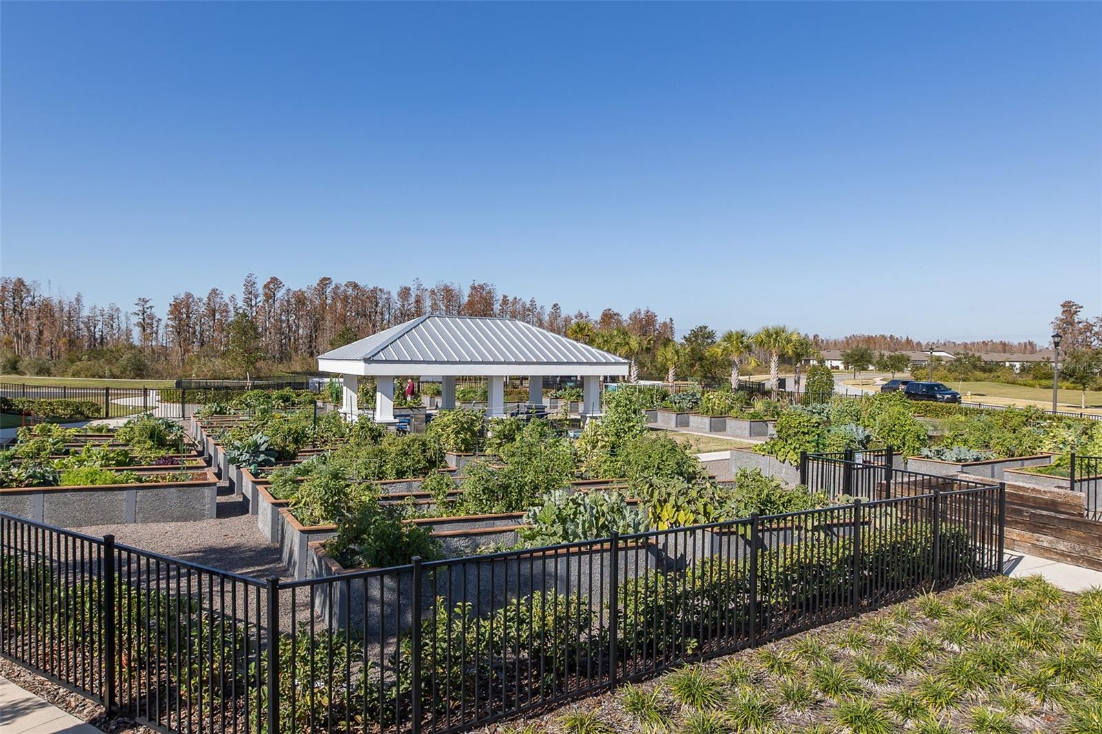 COMMUNITY GARDEN