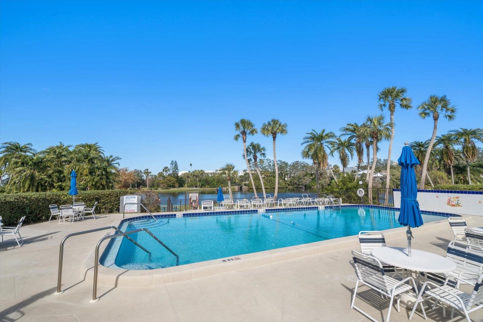 Large Heated Pool with plenty of sunshine and seating