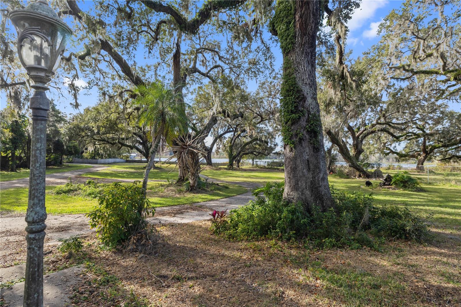 Front Yard