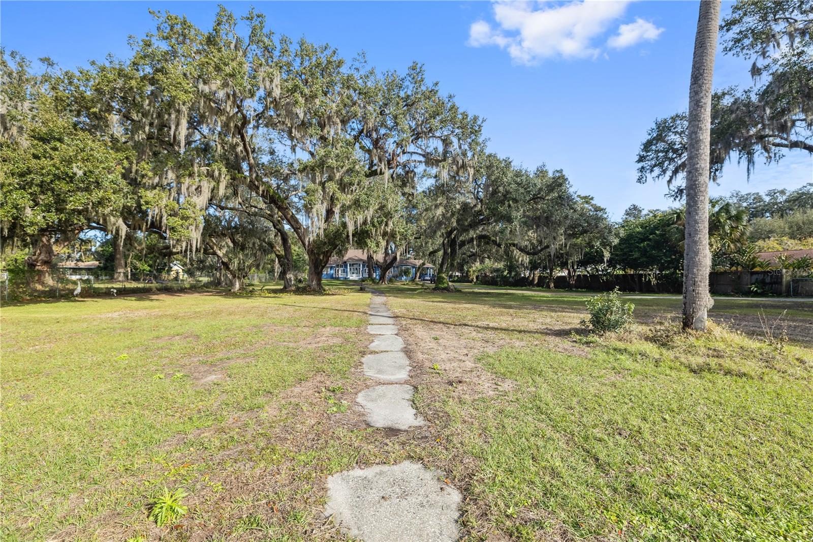 Massive Front Yard