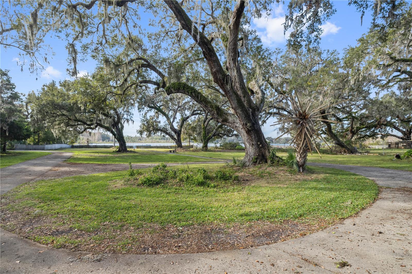 Long Winding Circular Driveway