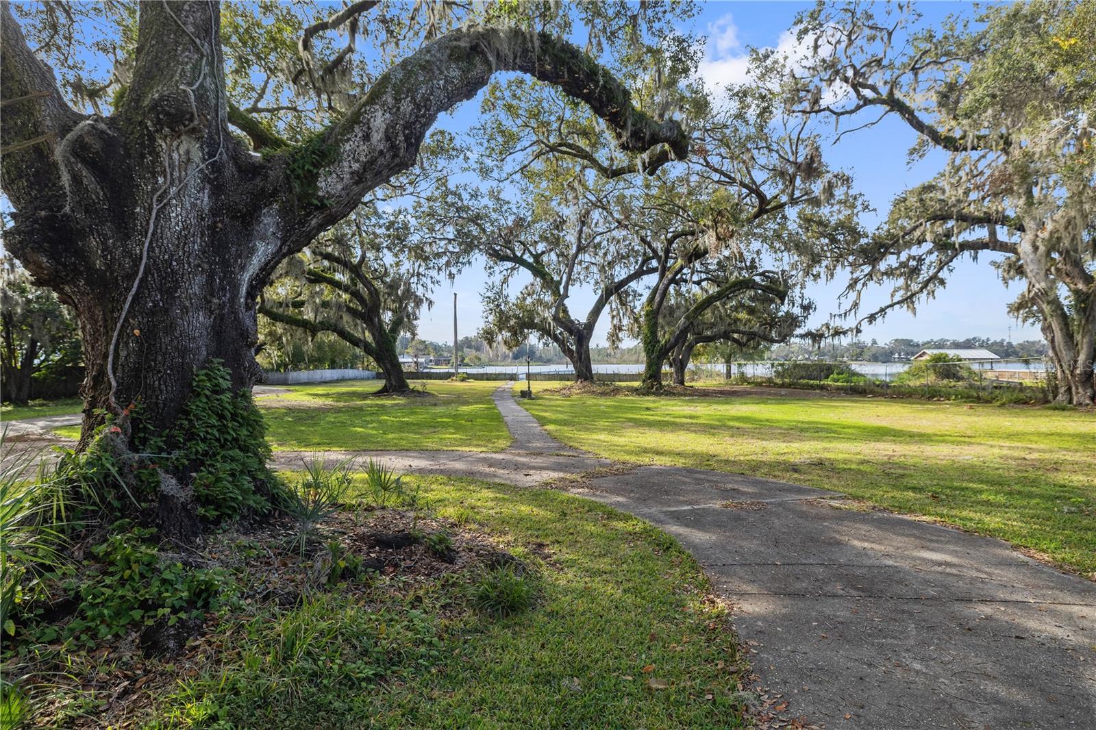 Front Yard