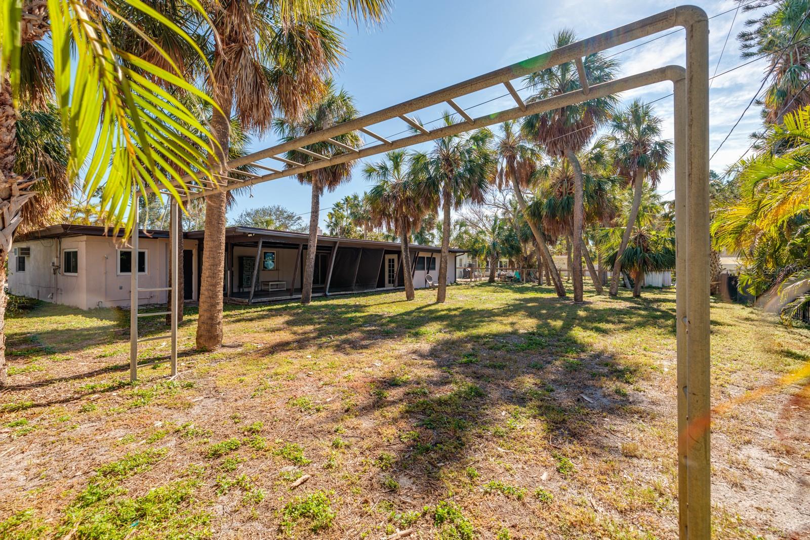 expansive back yard