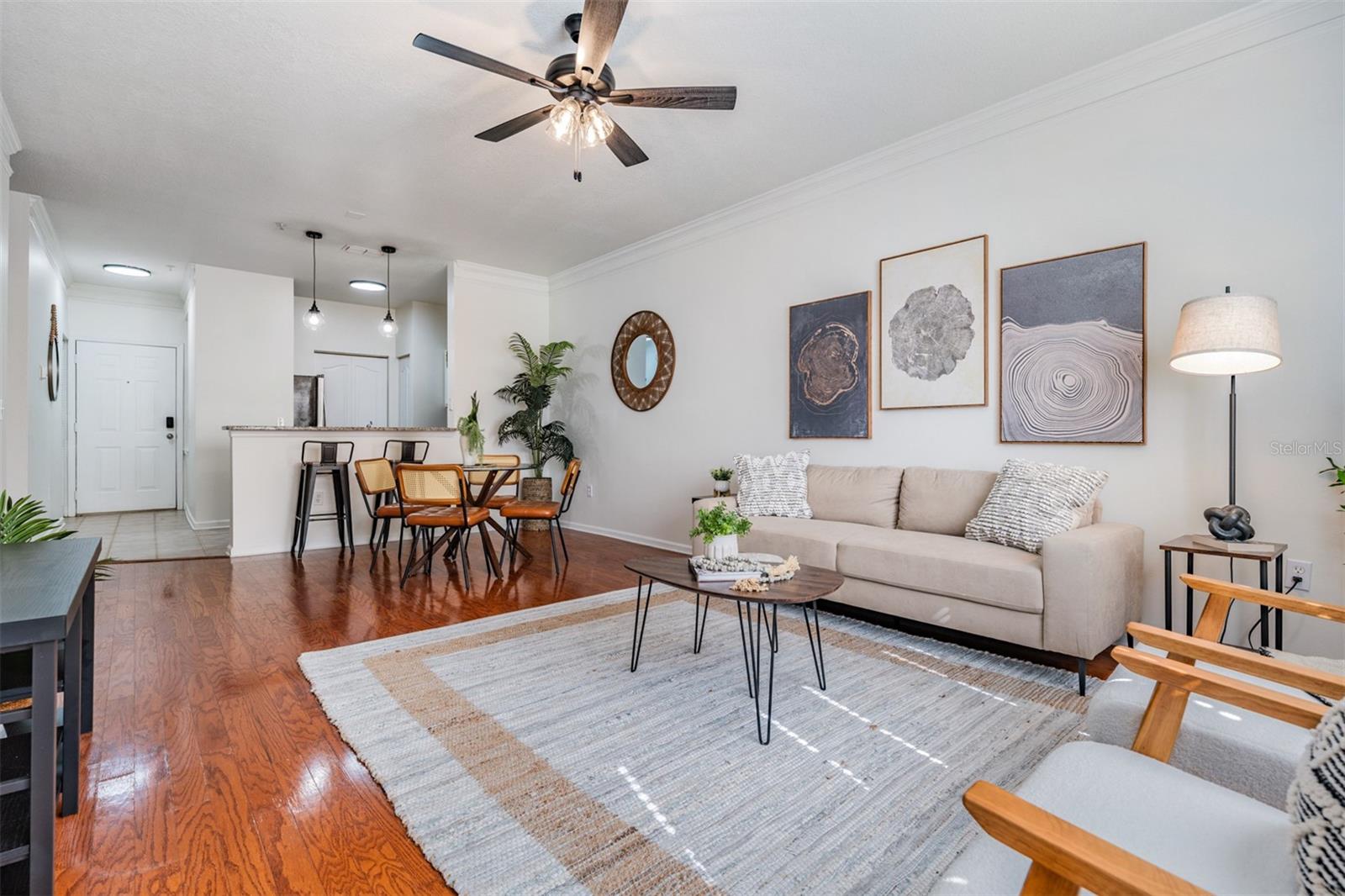 Dining Room/Living Room Combo