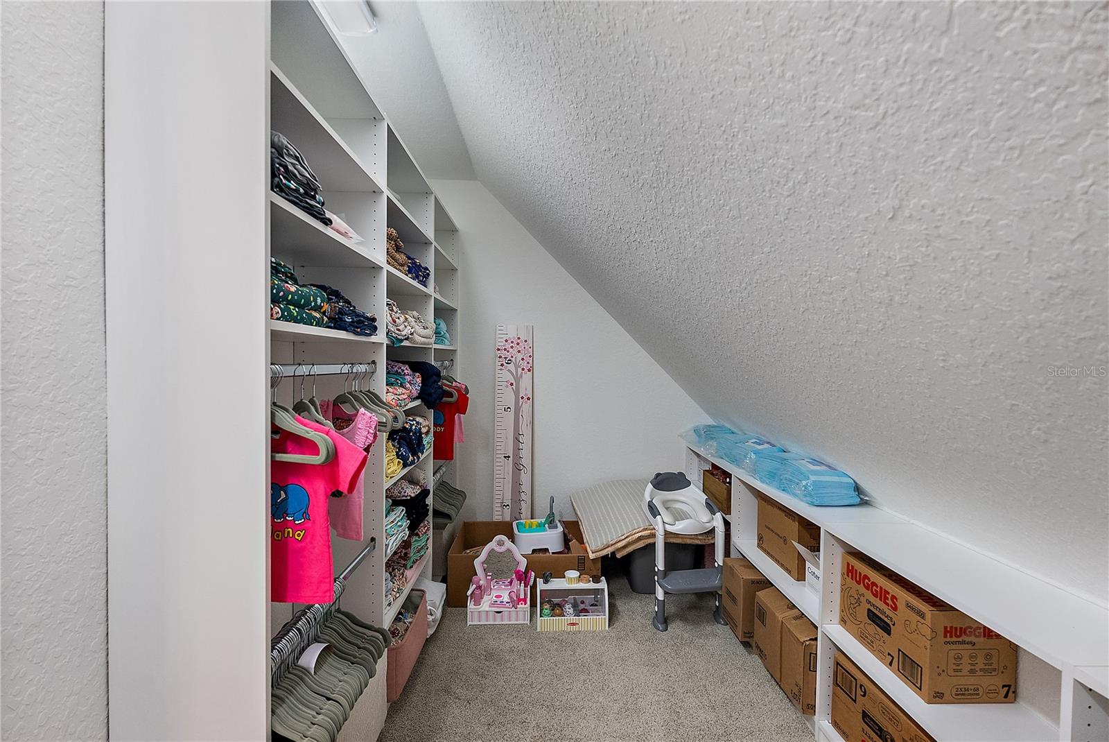 Guest Bedroom Walk in Closet18215 Keystone Grove Blvd, Odessa FL