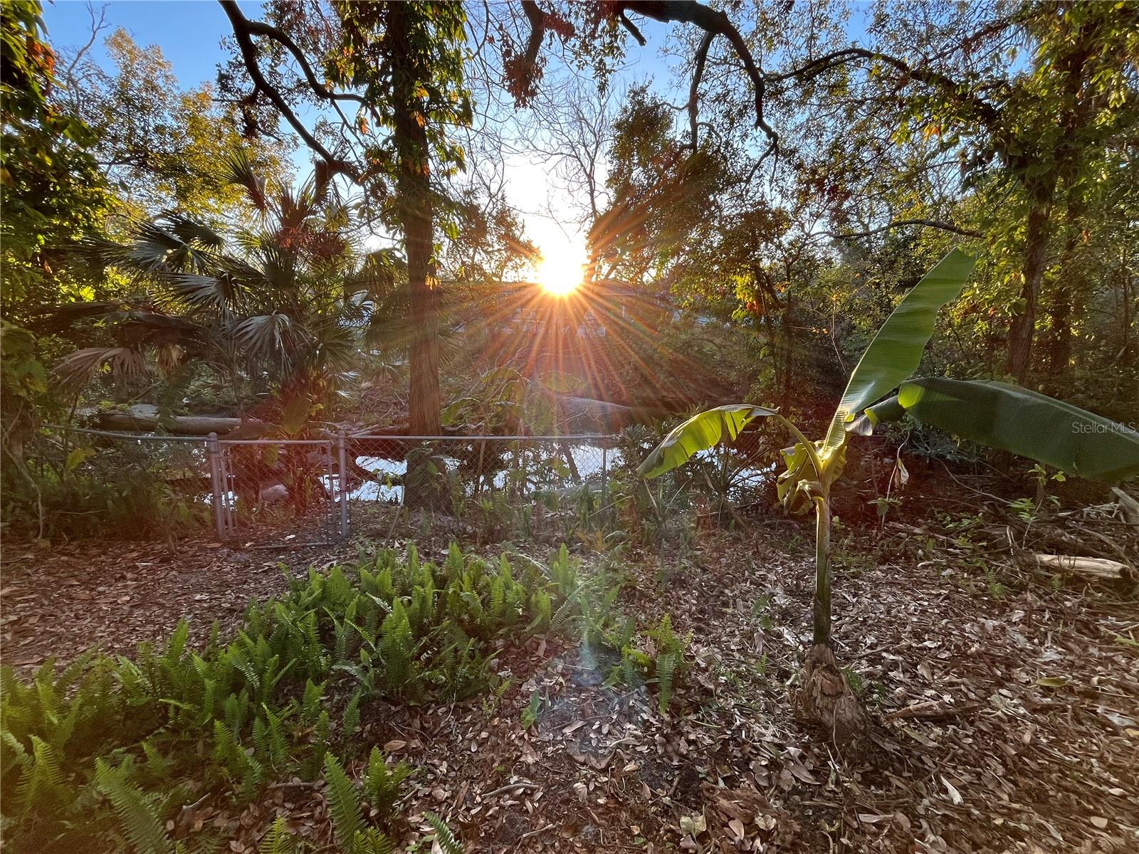 Allen's Creek deck