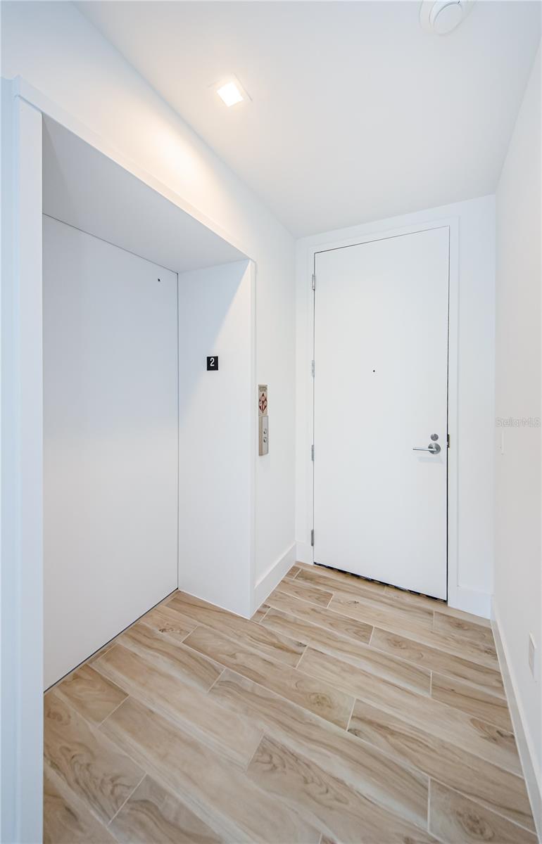 Private elevator and Front door common access