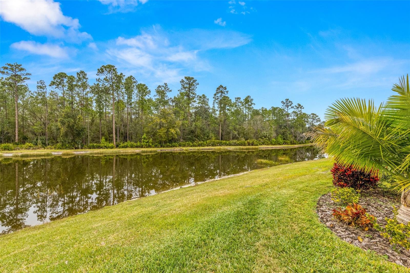 Pond and conservation view