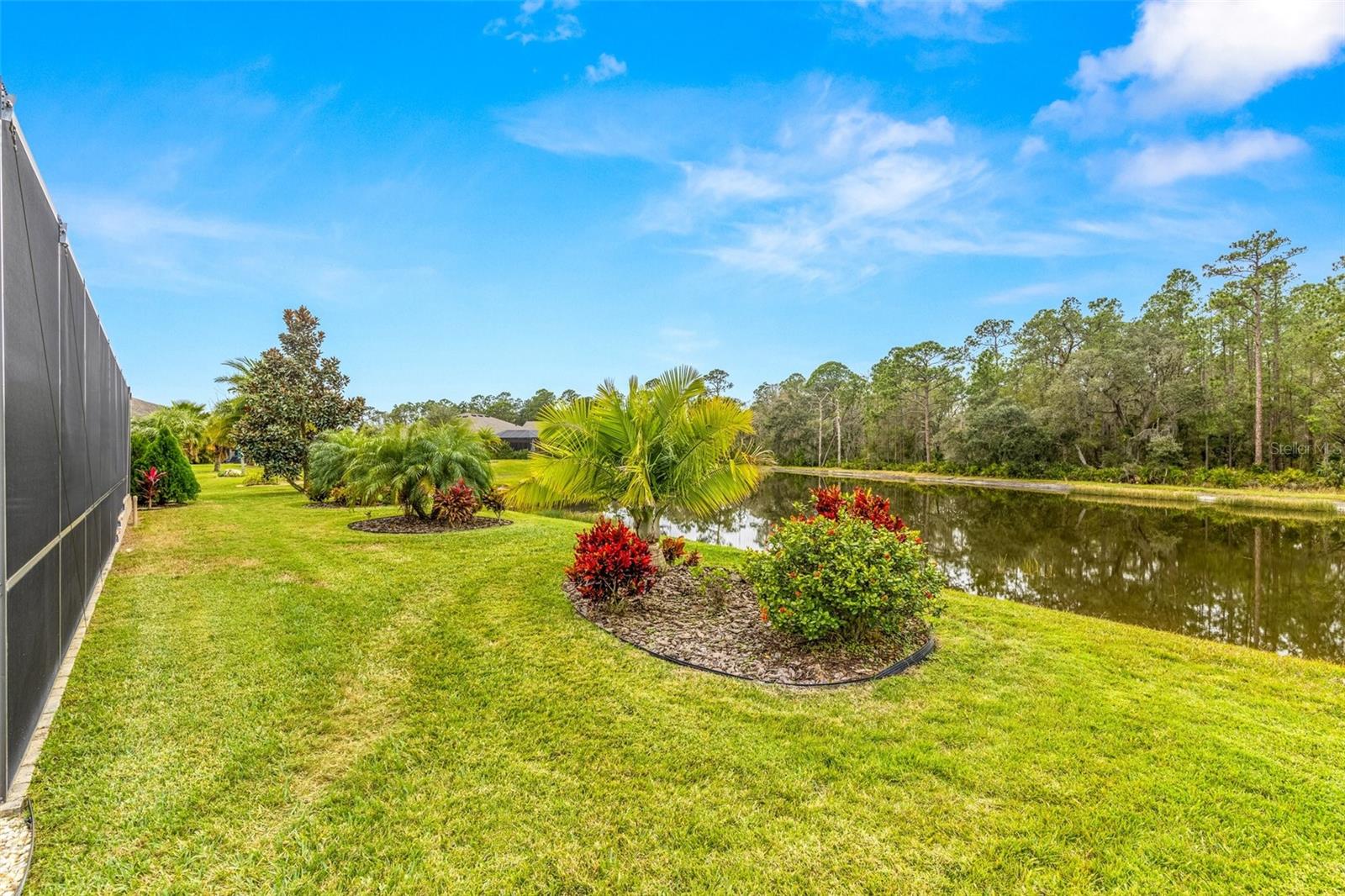 Backyard and pond