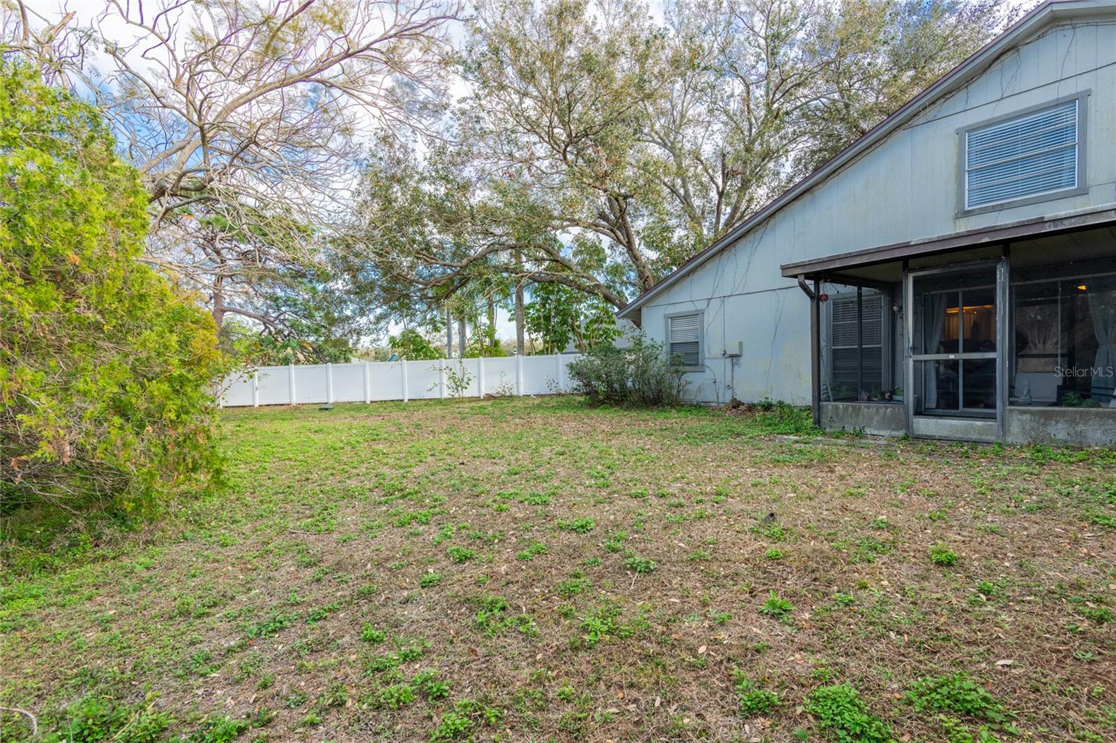 Large fenced backyard