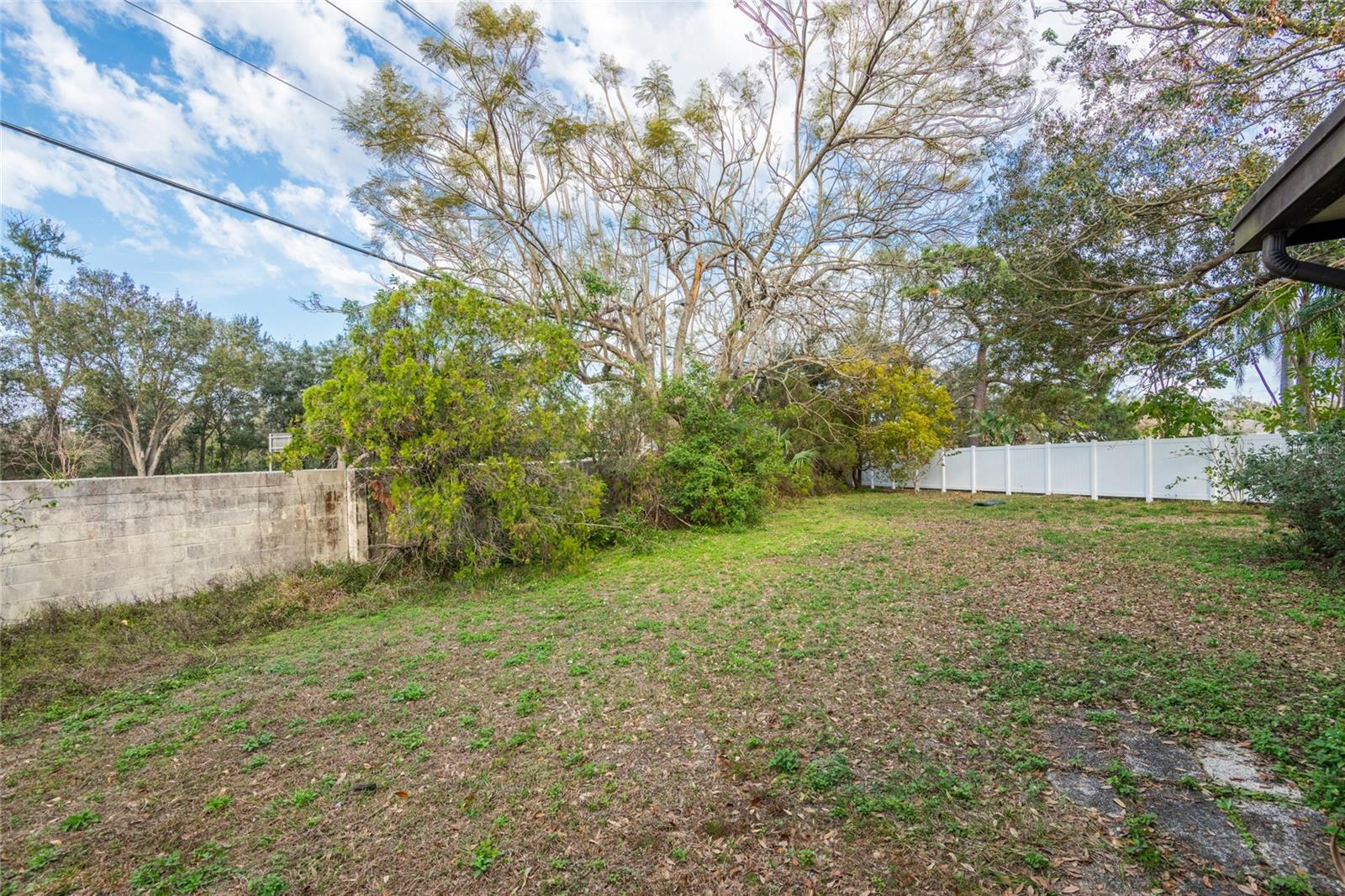 Large fenced backyard