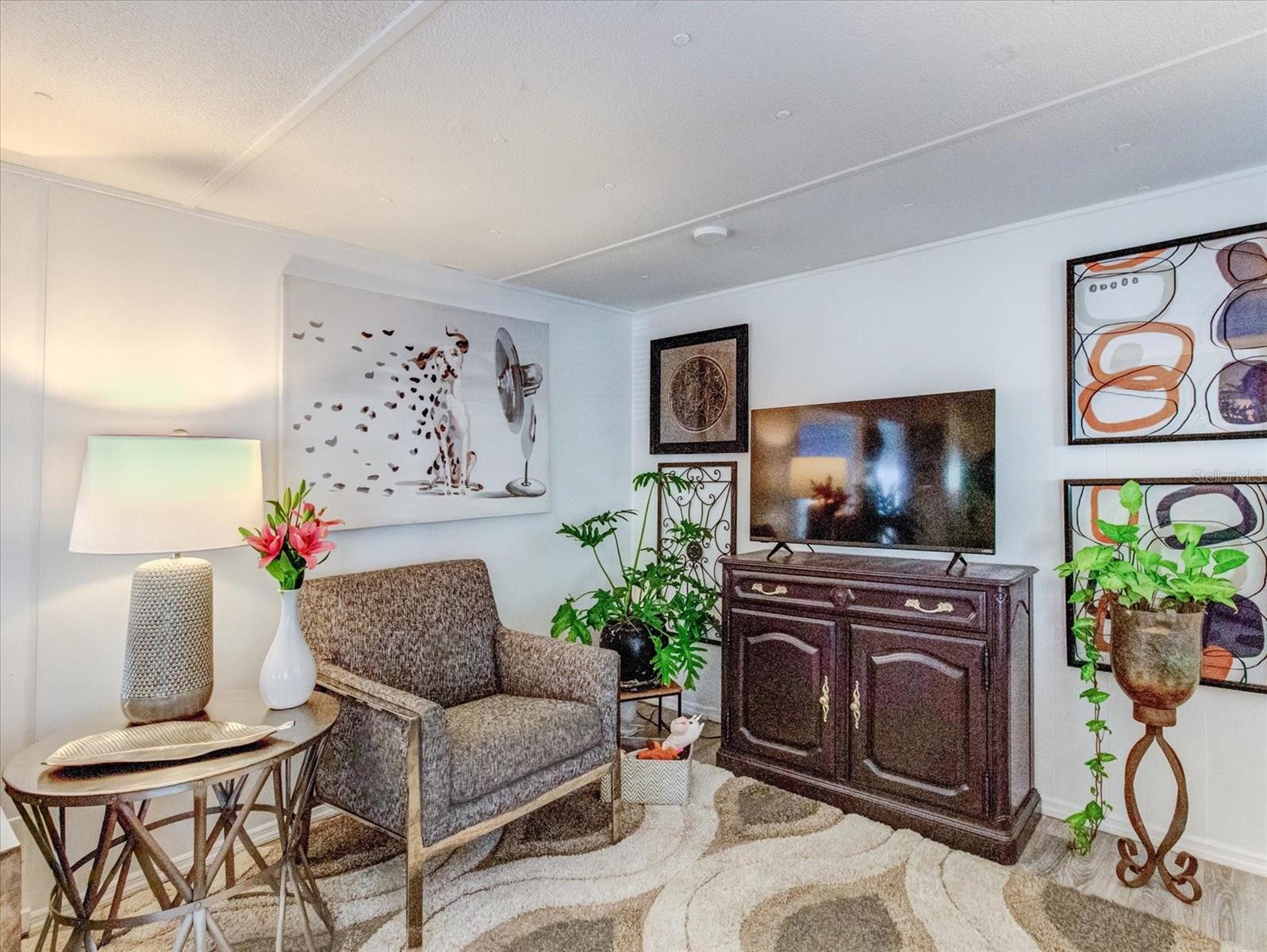 Living Room With Luxury Vinyl Flooring