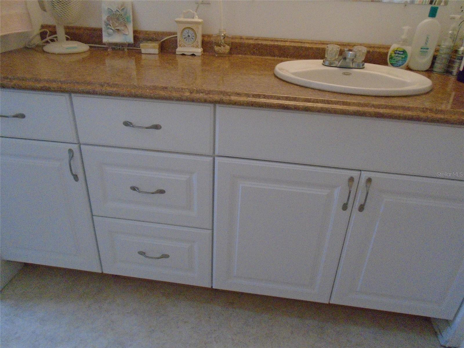 Large Bathroom Countertop with Lots of Storage Underneath