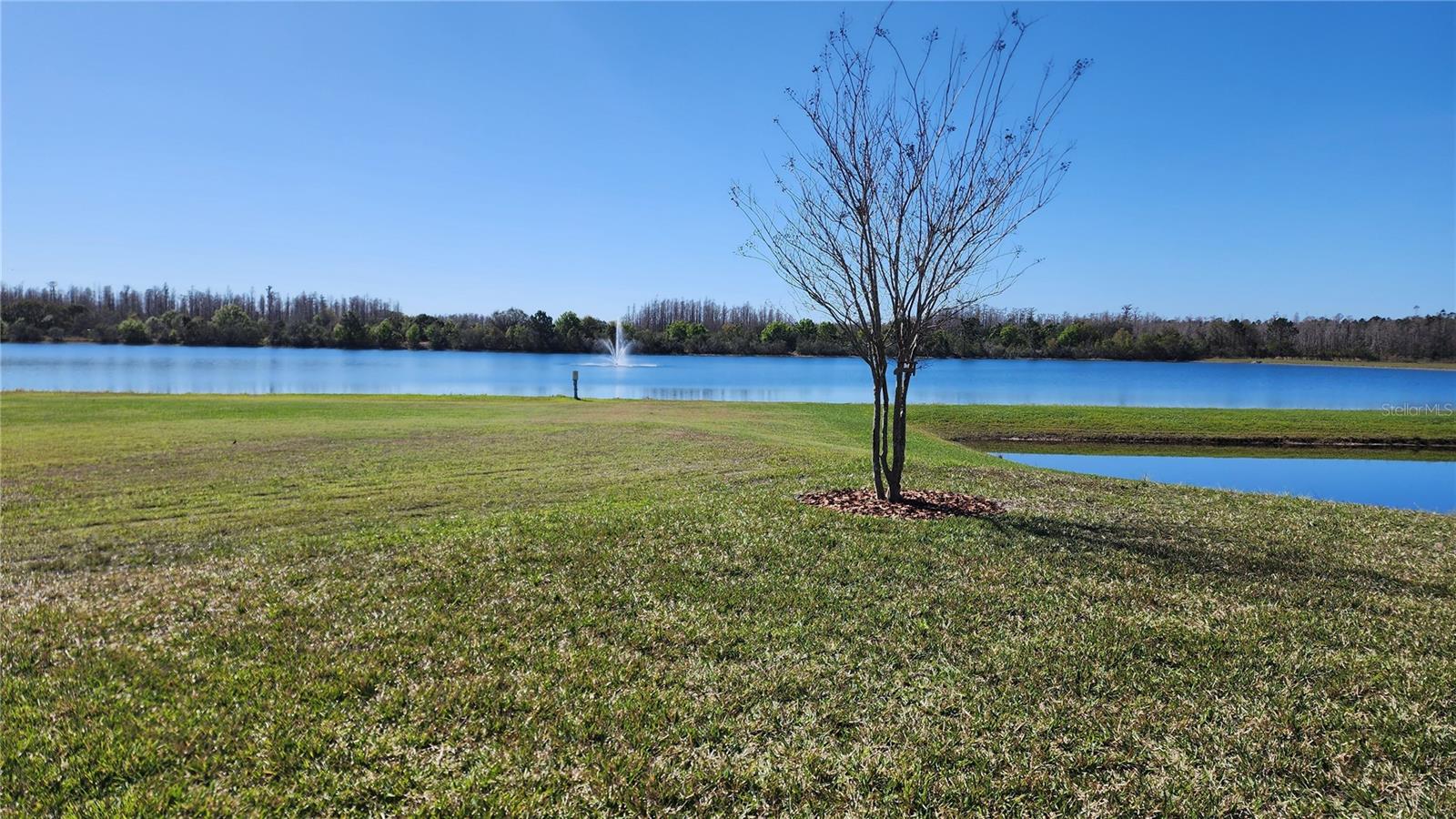 Lake View from backyard