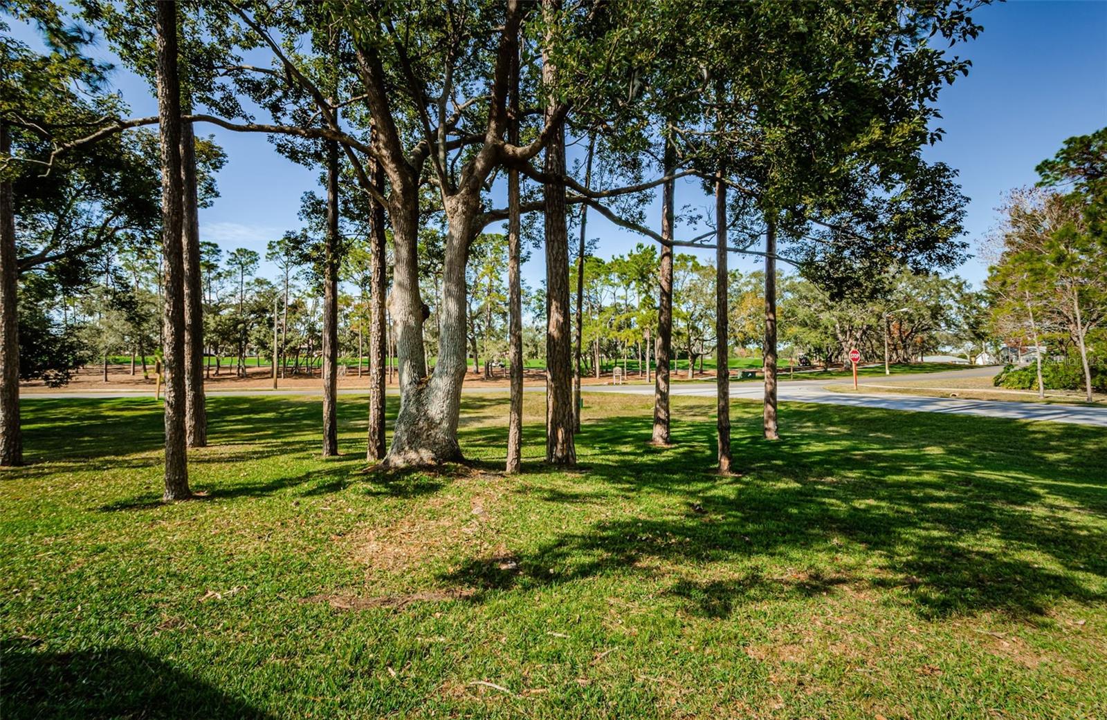 Huge Back Yard!