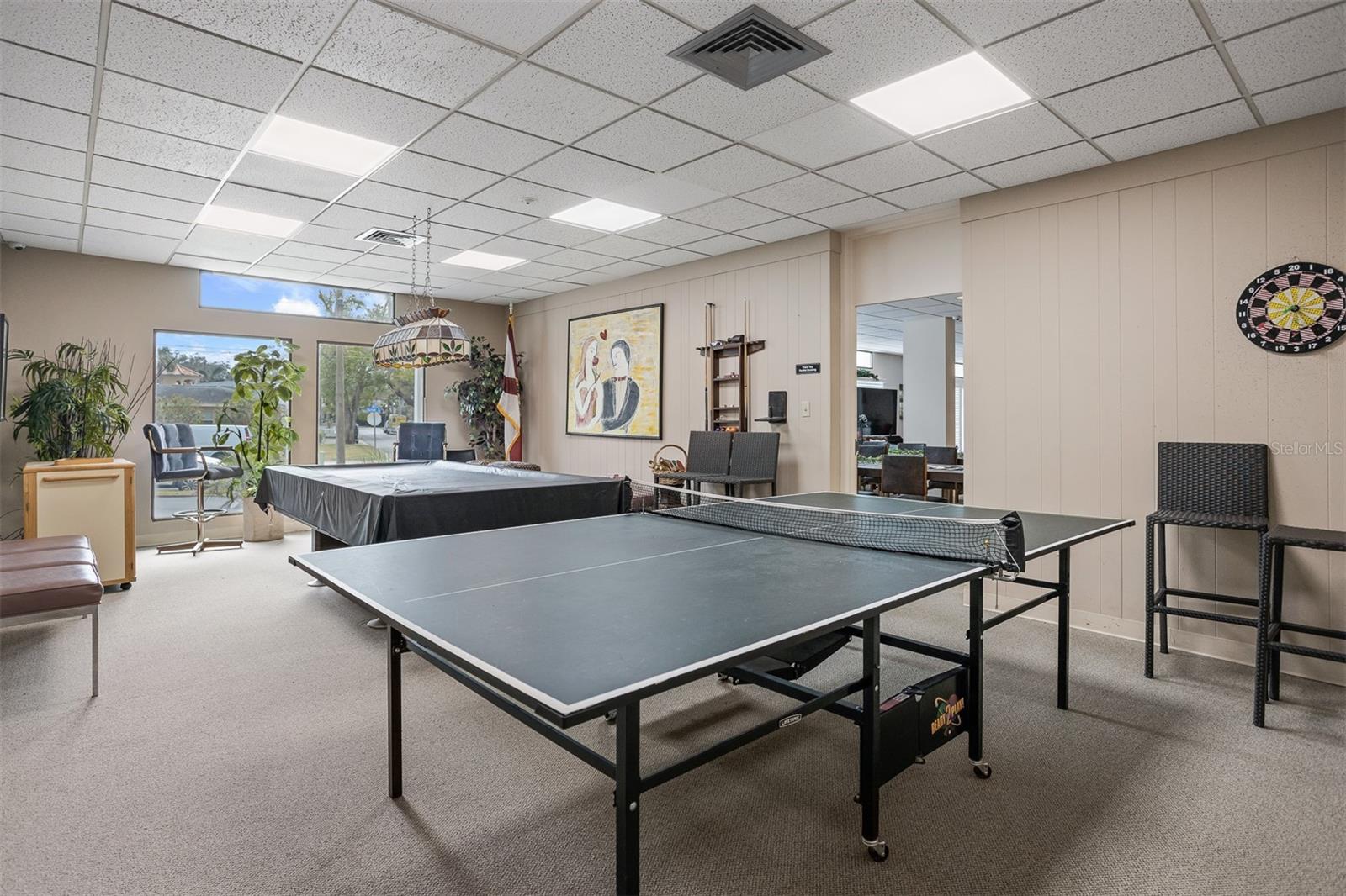 Ping Pong and Billiards Rm