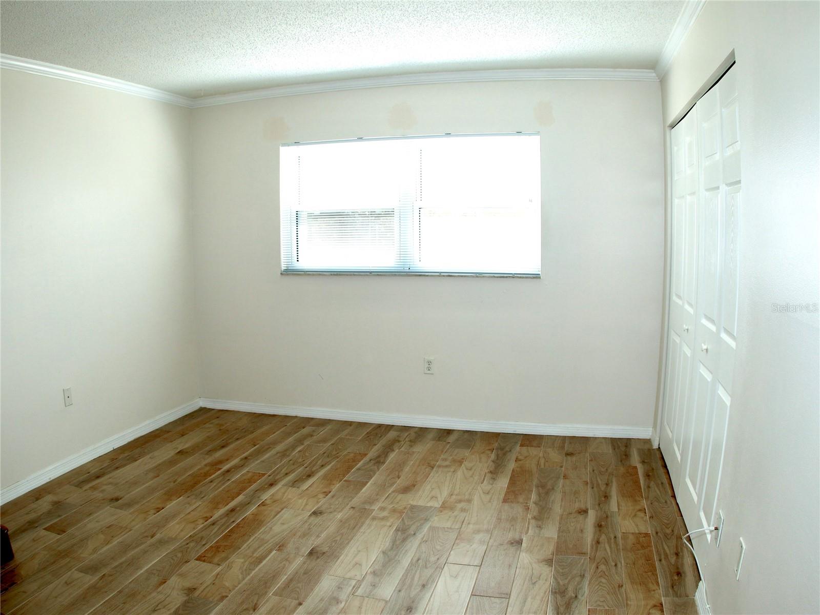 Primary Bedroom View from Doorway