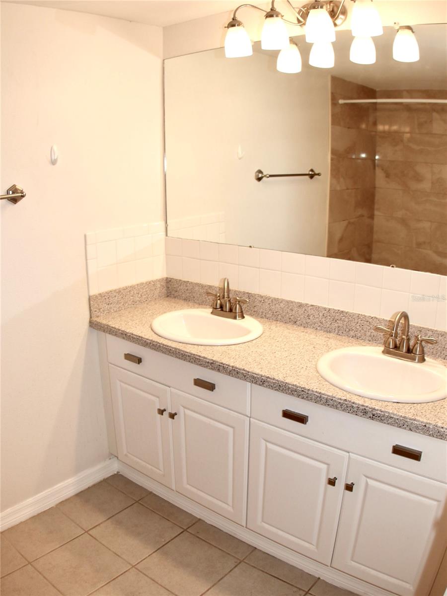 Bathroom Dual Sink and Vanity