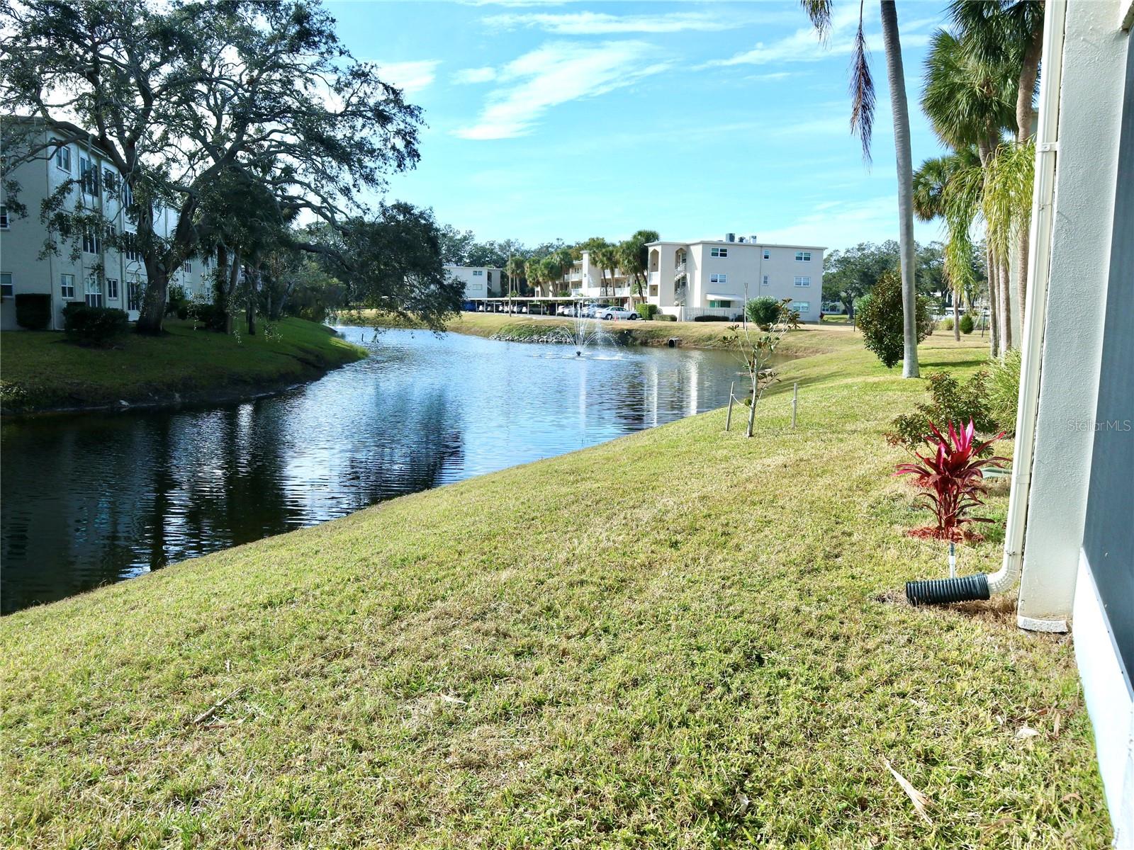 Pond View from Rear Entrance