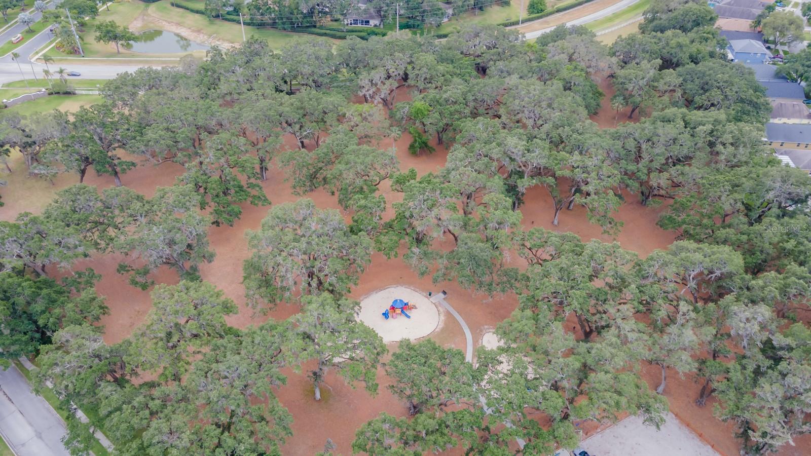 Community Park and Playground