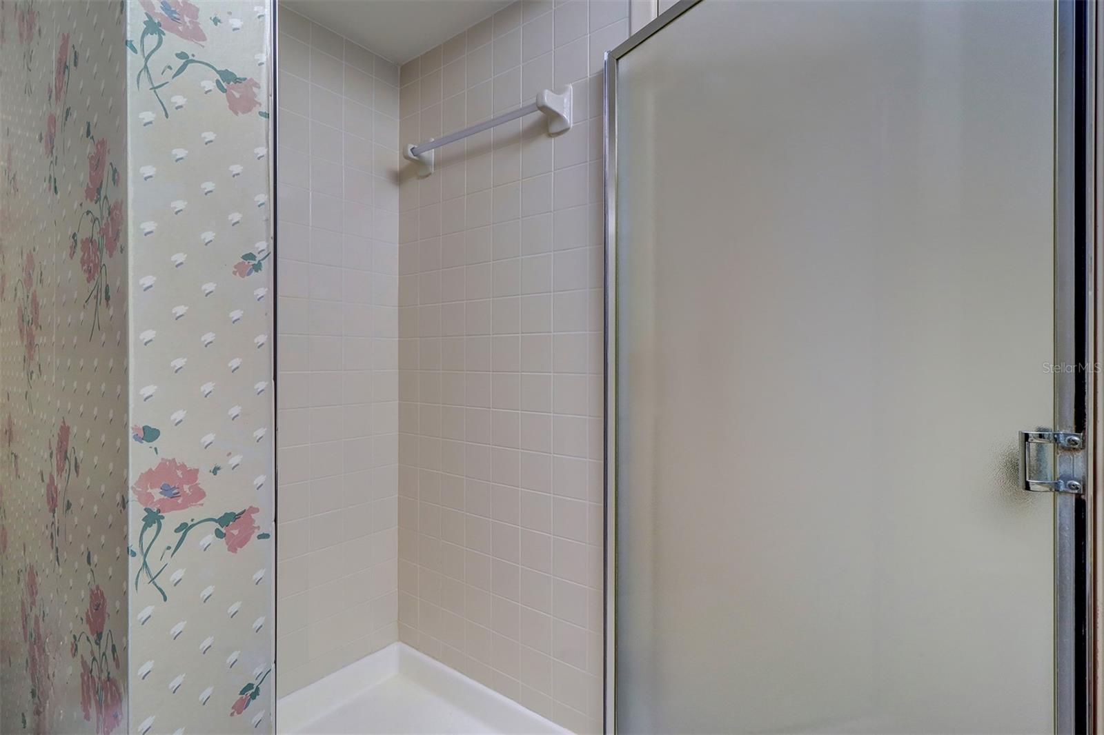 Primary bathroom shower