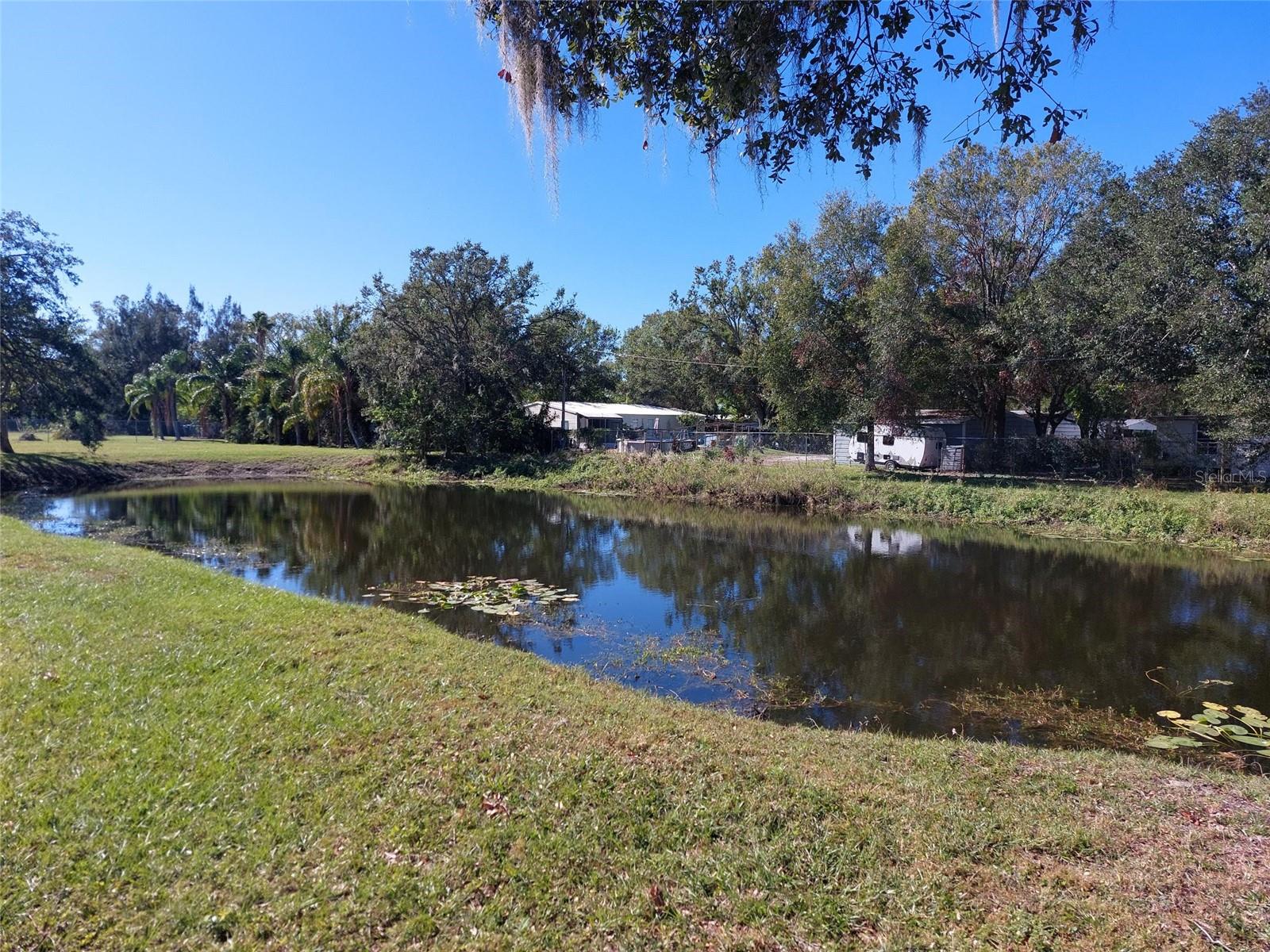 View of Pond