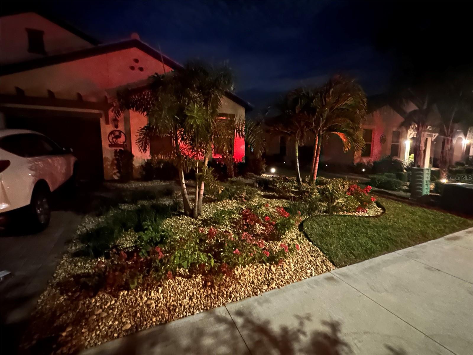 Evening view of the front garden.