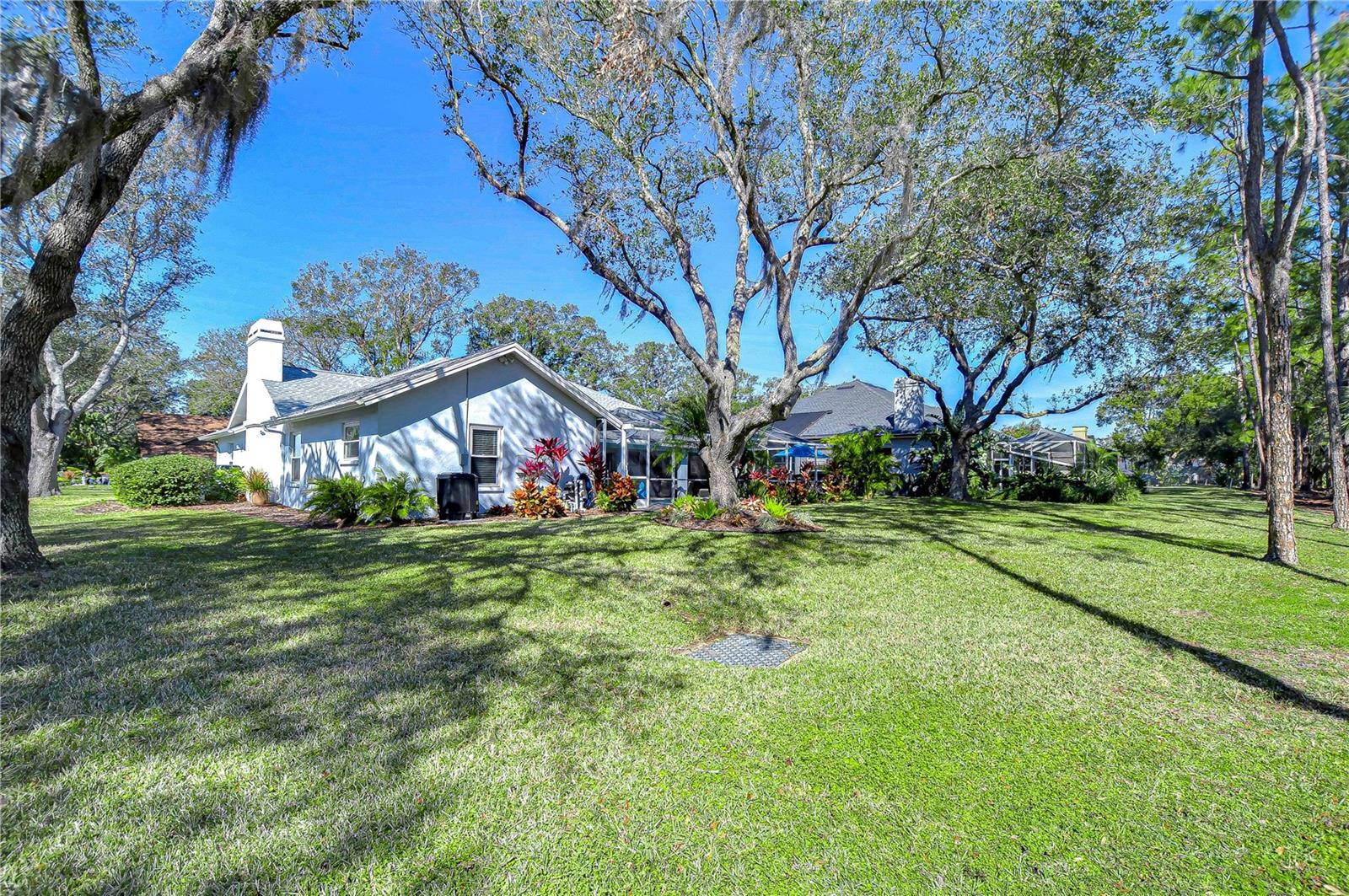 EXPANSIVE backyard space!