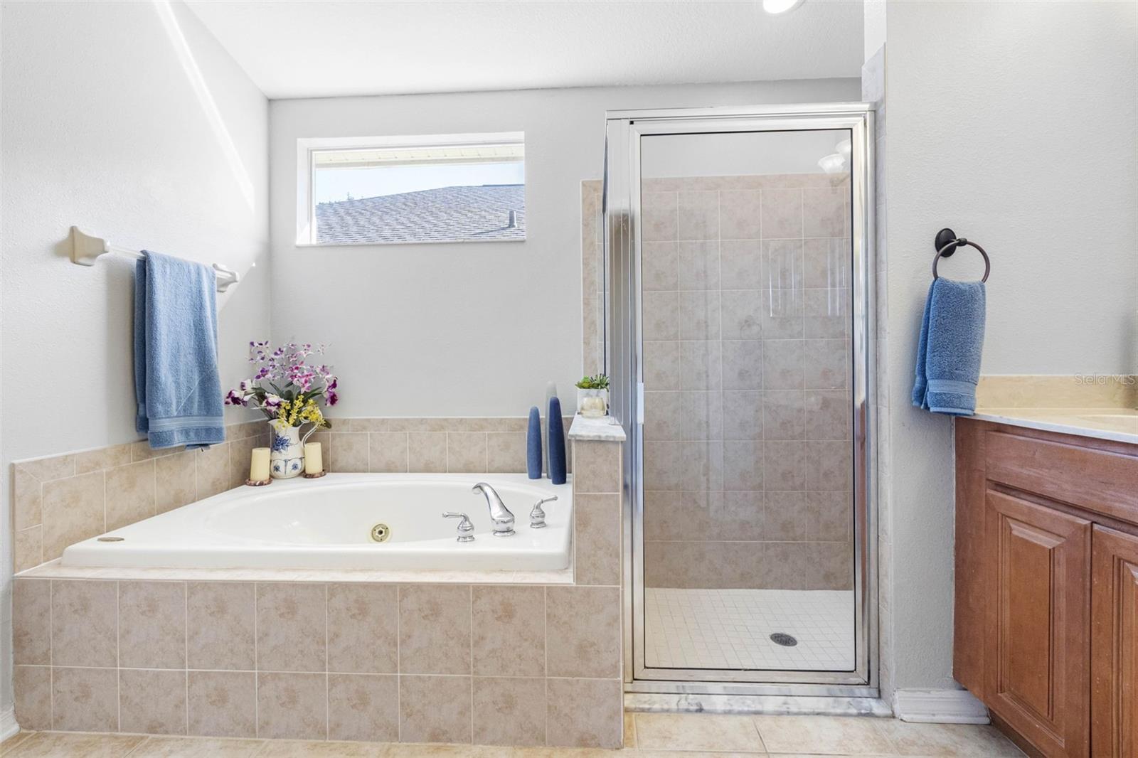 Owner's bathroom jacuzzi tub & Shower