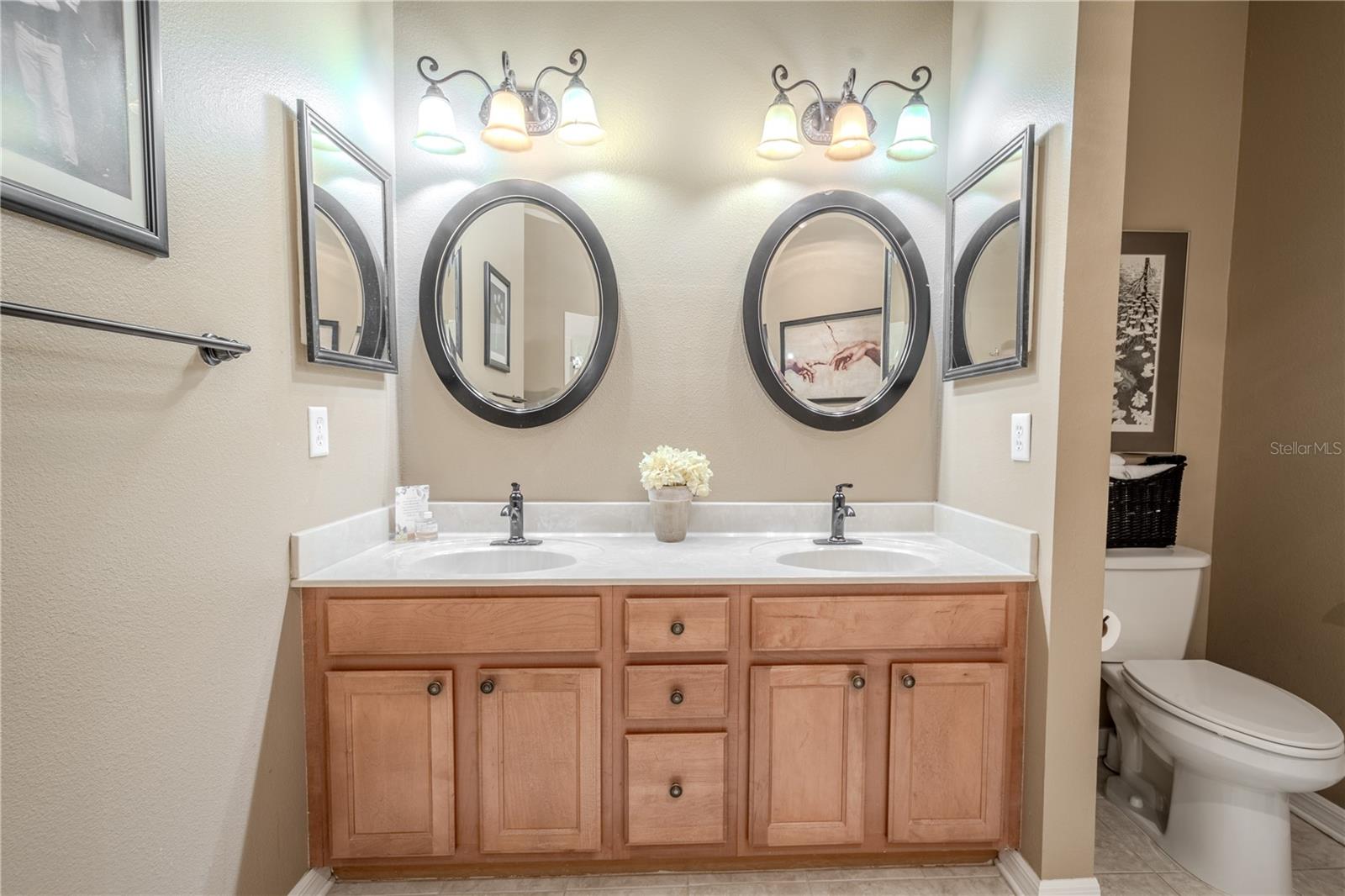 The primary bath vanity.