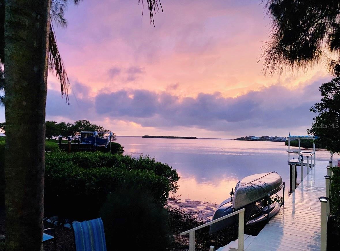 This is a great Dock to watch amazing sea-life