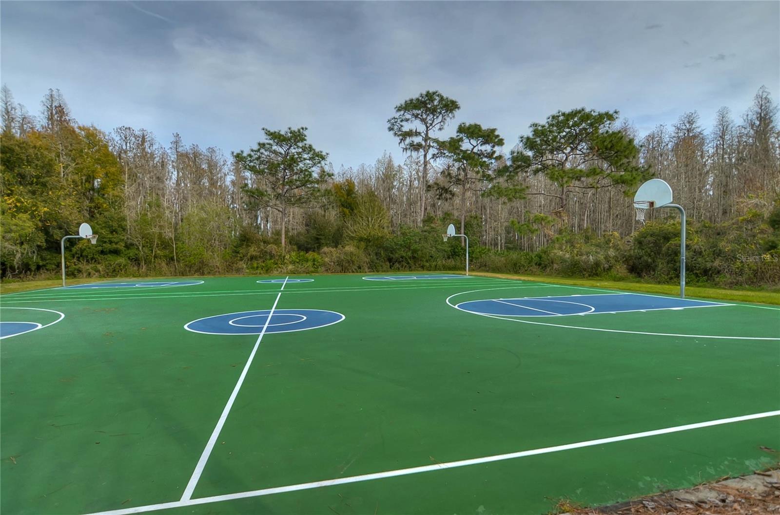 Meadow Pointe III basketball courts