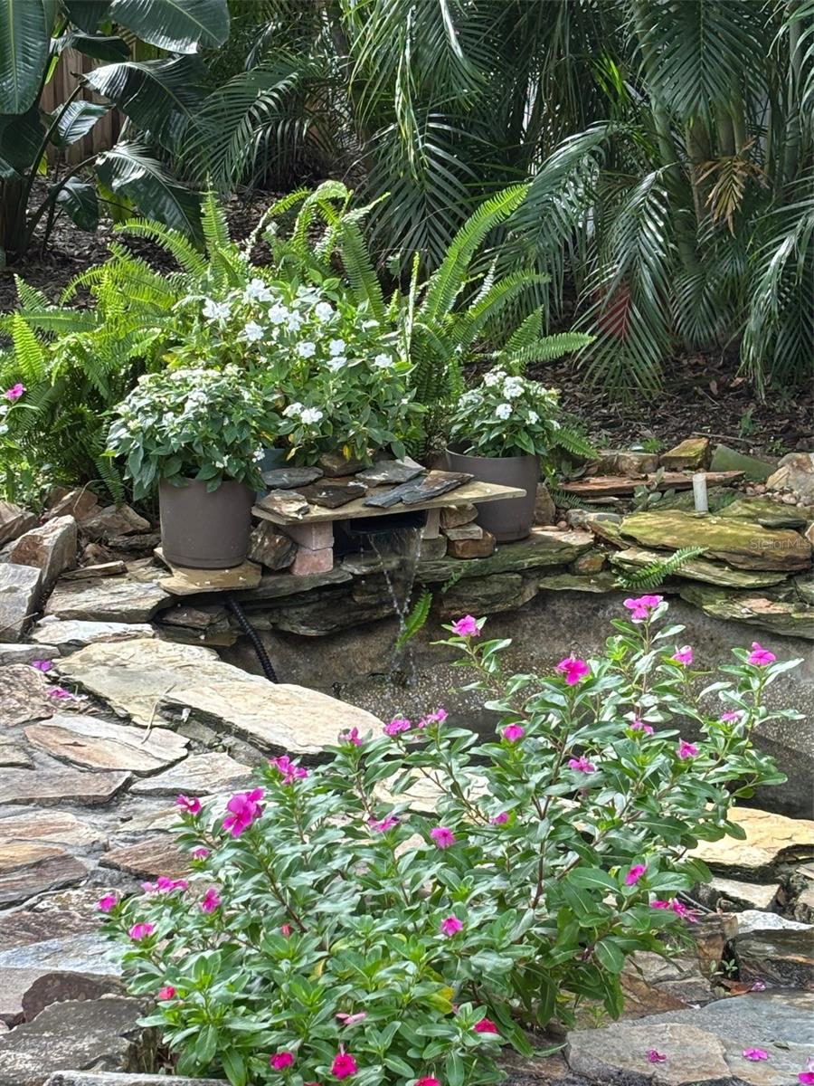 Trickling backyard pond.