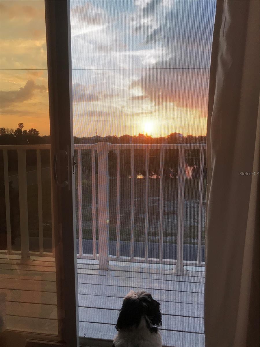 View of Sunsets from your Deck