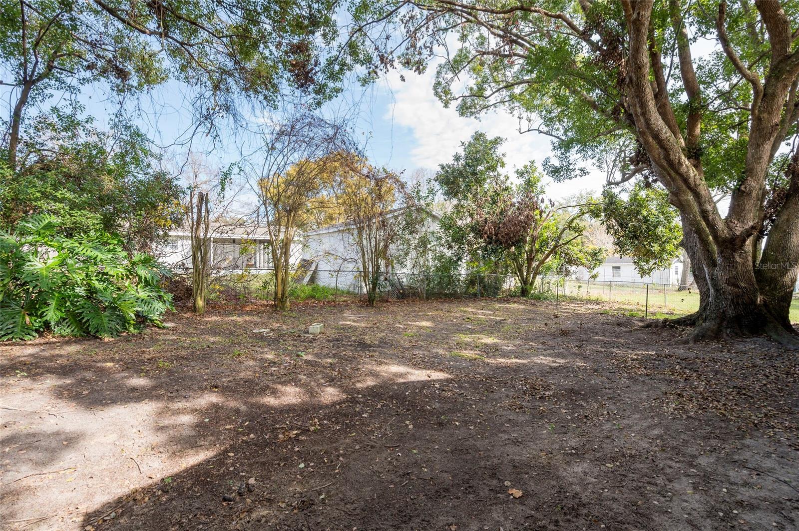 Back Yard