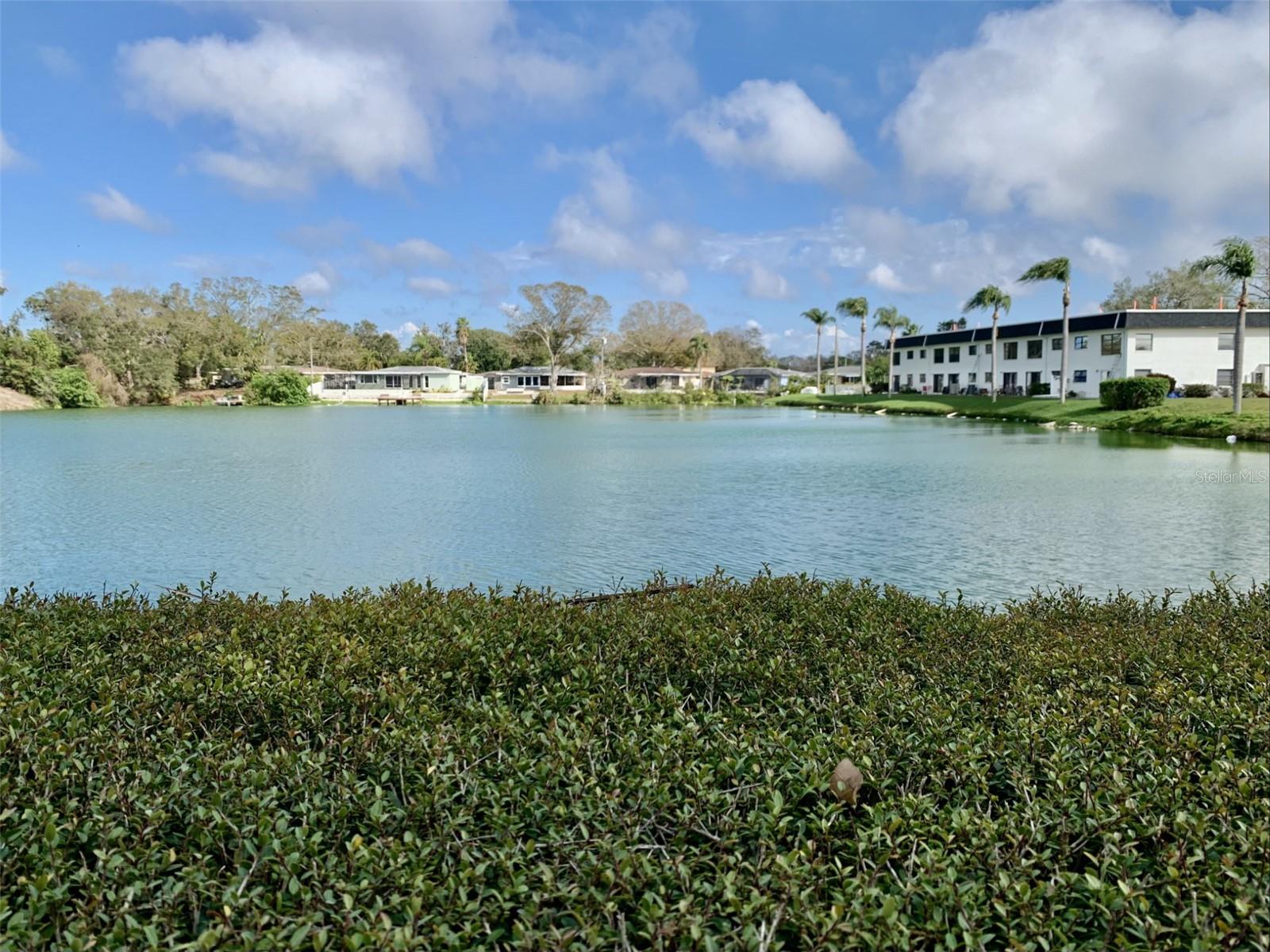 Though your condo is waterfront, it is not in a flood zone