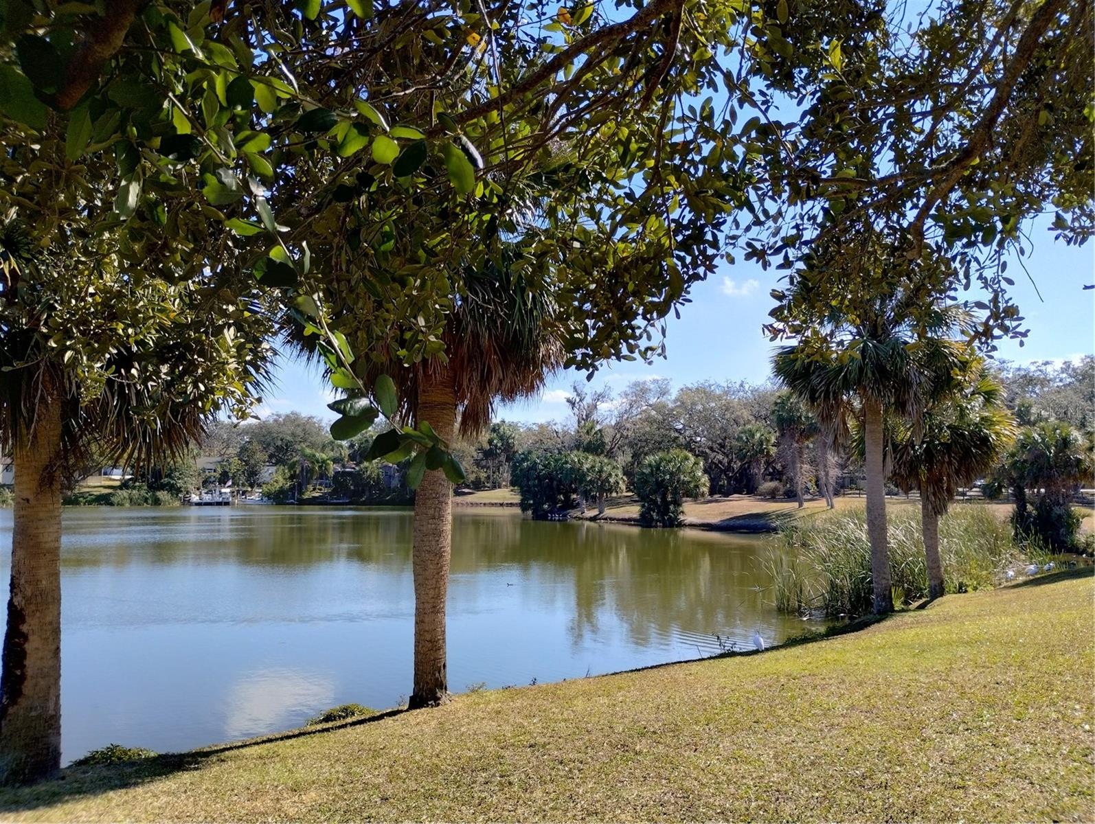 Back yard on lake