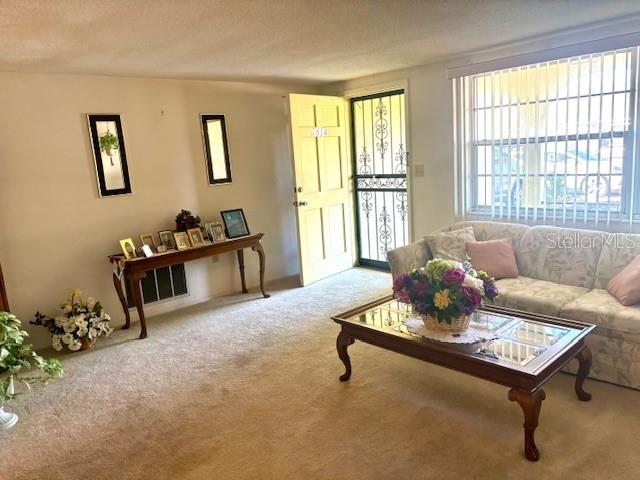 Living room/dining room combo