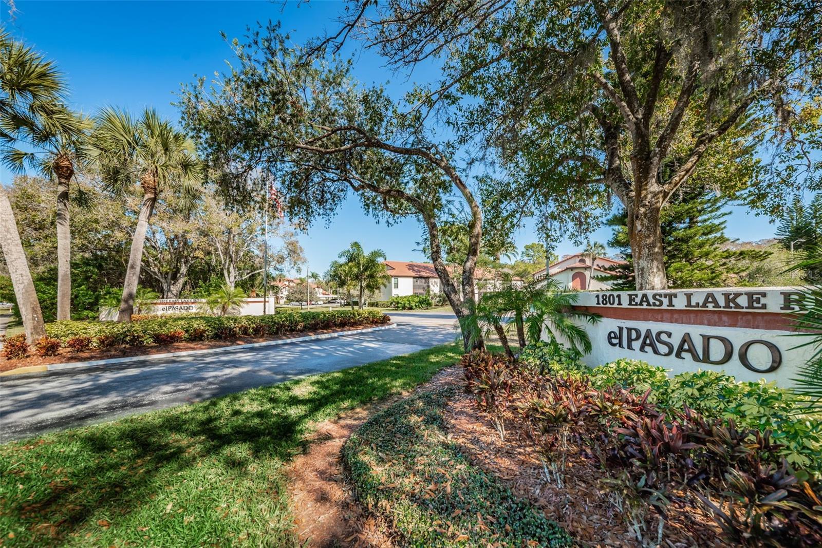 Entrance with Lush Landscaping