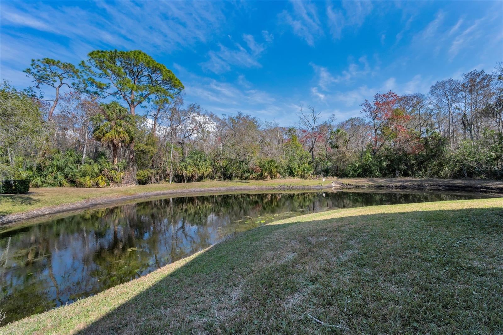 Partial Pond View