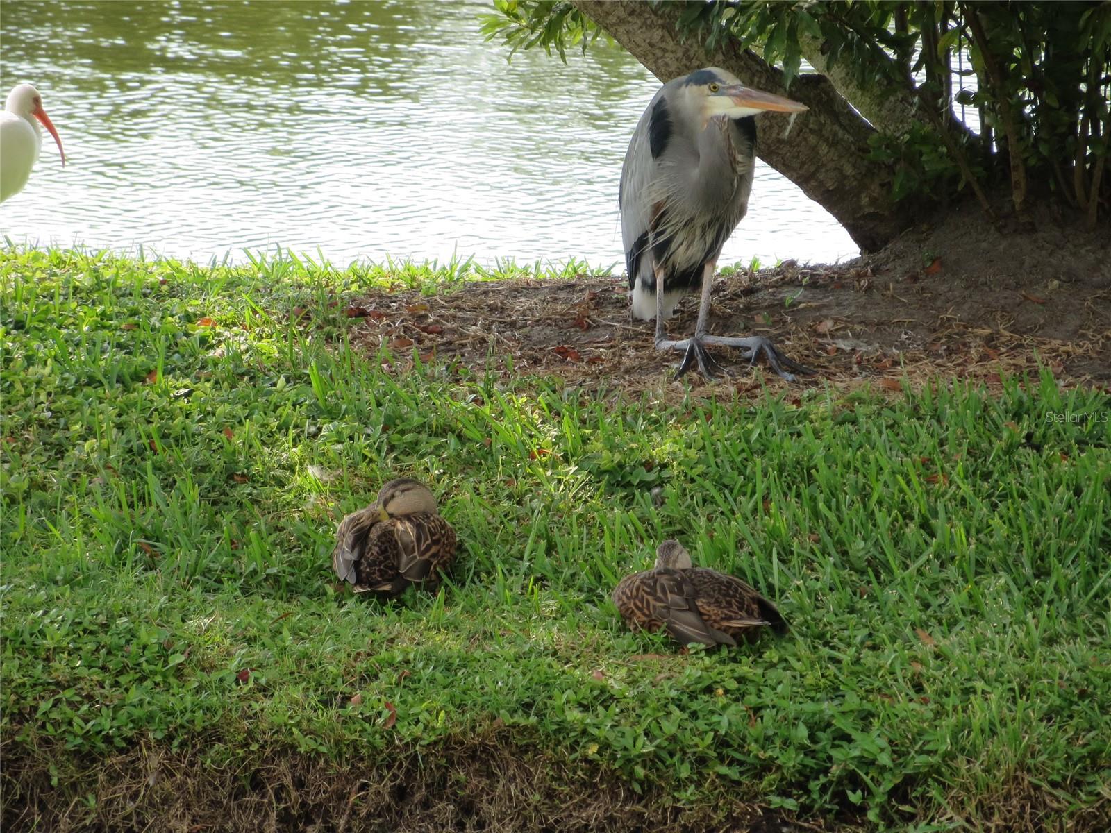 This nature preserve has flora and fauna to enjoy everywhere!