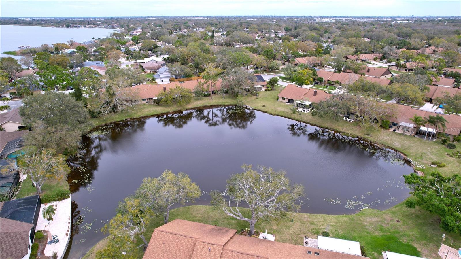 Water view aerial 1