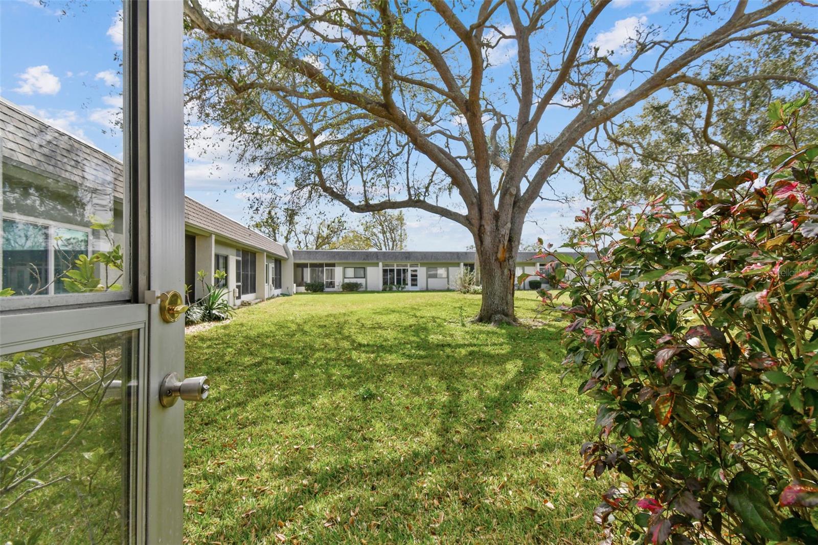 Spacious Back Yard