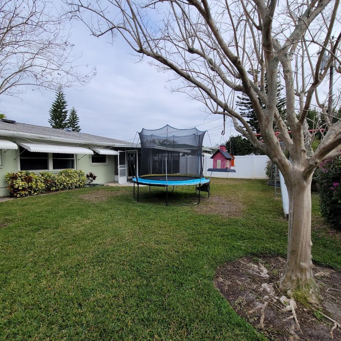 View of the backyard from the shed area.