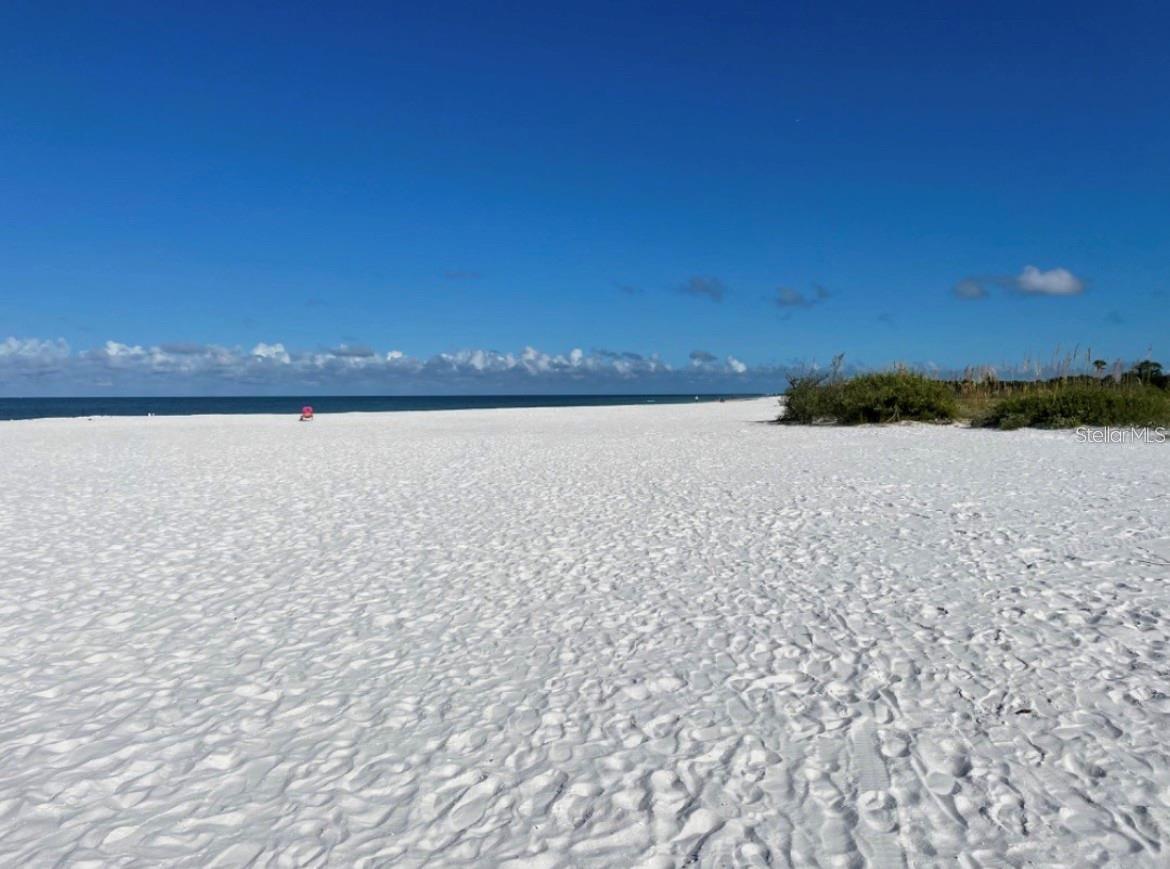 Honeymoon Island