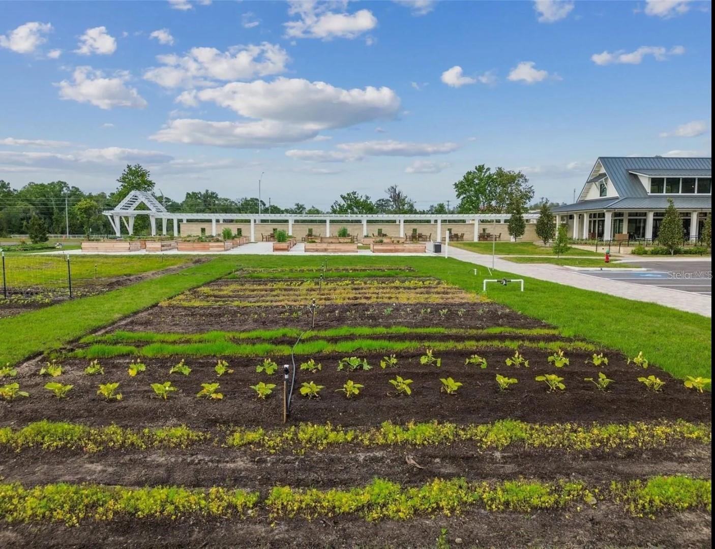 Farm Crops