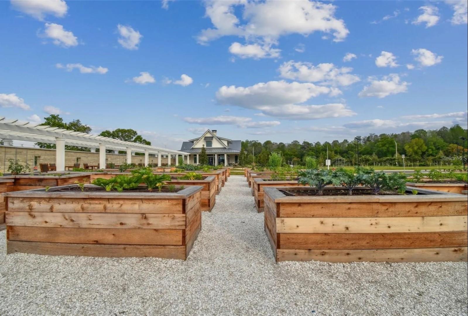 Farm Raised Beds